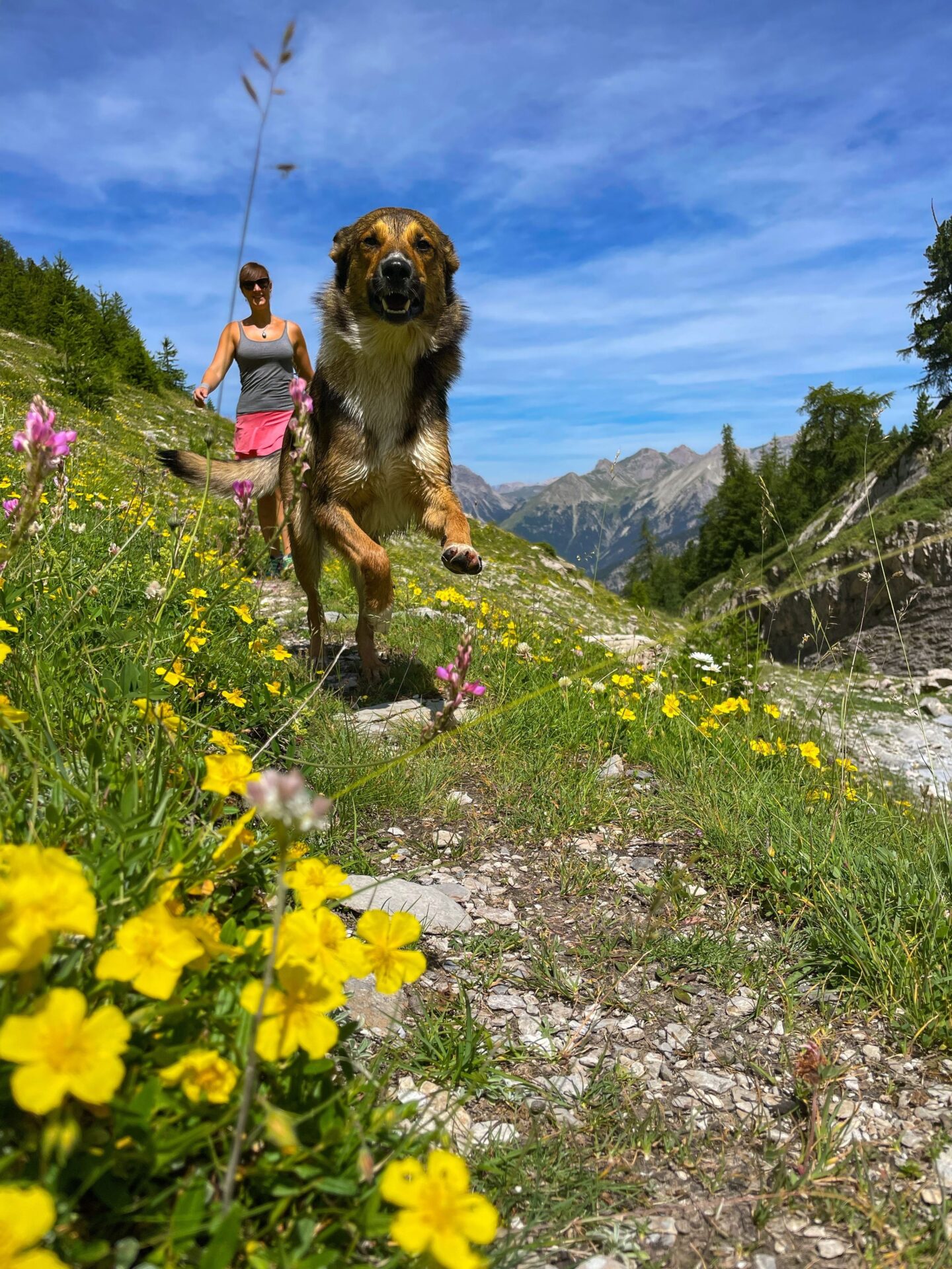 This image features a lady doing a spring activity